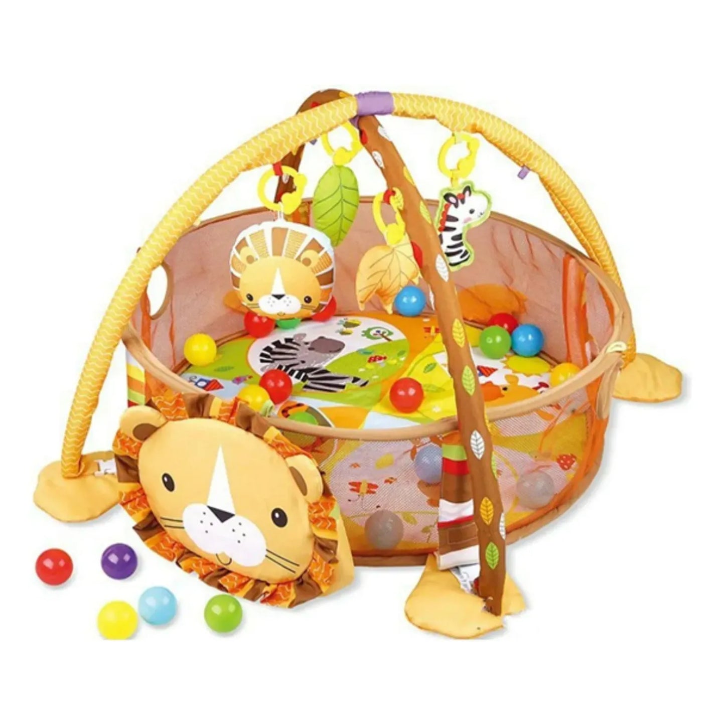 Gimnasio de pelotas leon