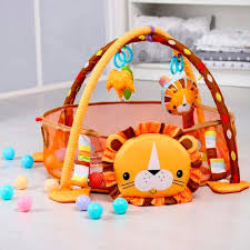 Gimnasio de pelotas leon