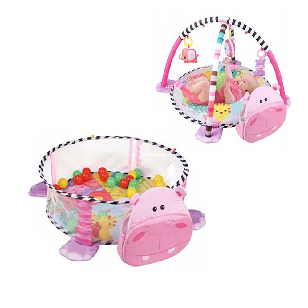 Gimnasio de pelotas hipo